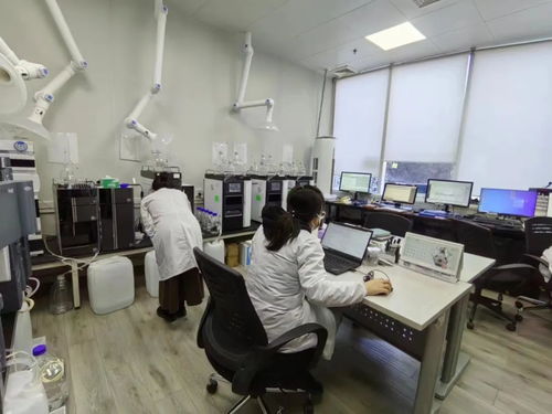 全市首批專精特新服務(wù)站試點落地昌平，助力新材料技術(shù)推廣服務(wù)